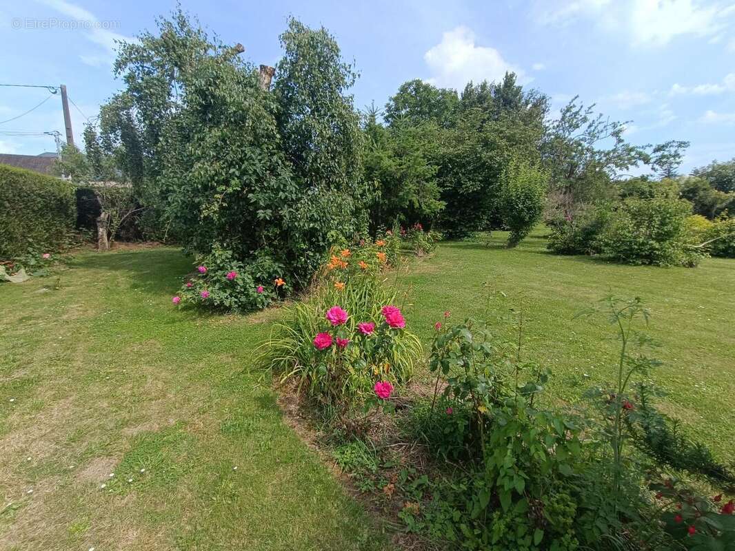 Photo 4 - Maison à LE BOURGNEUF-LA-FORET