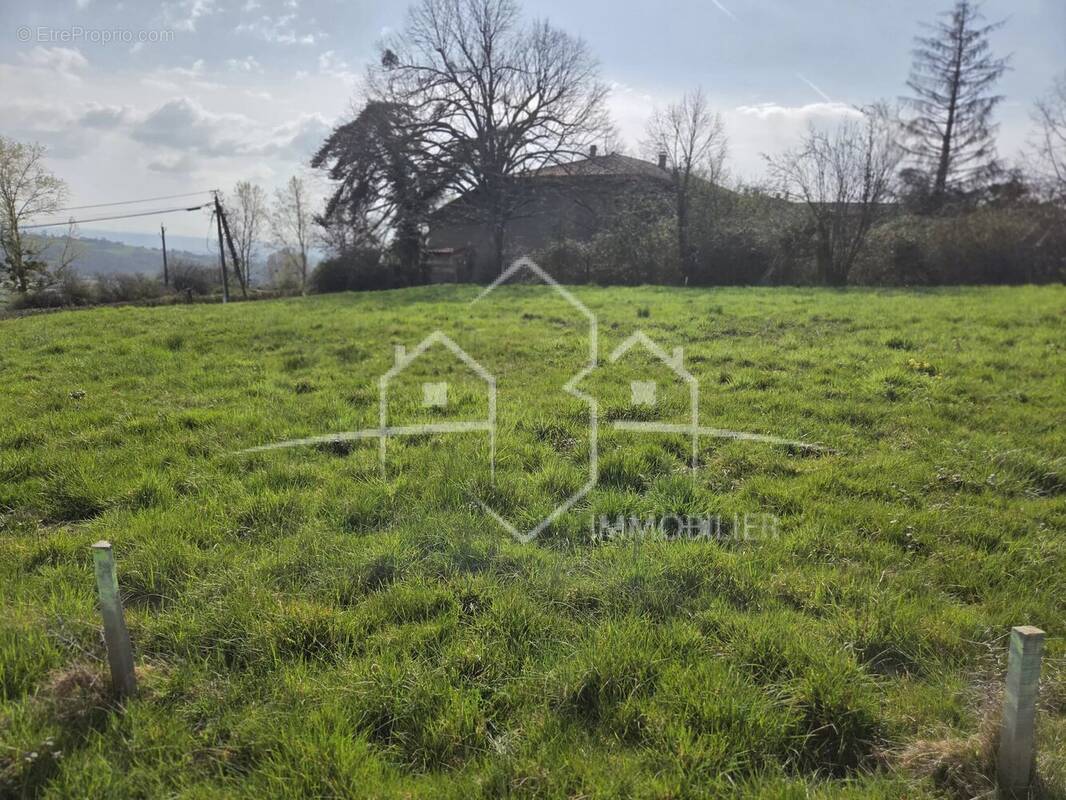 Terrain à PRIMARETTE