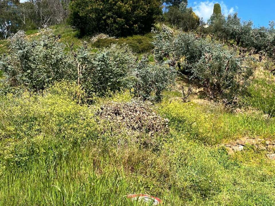 Terrain à LA ROQUETTE-SUR-SIAGNE