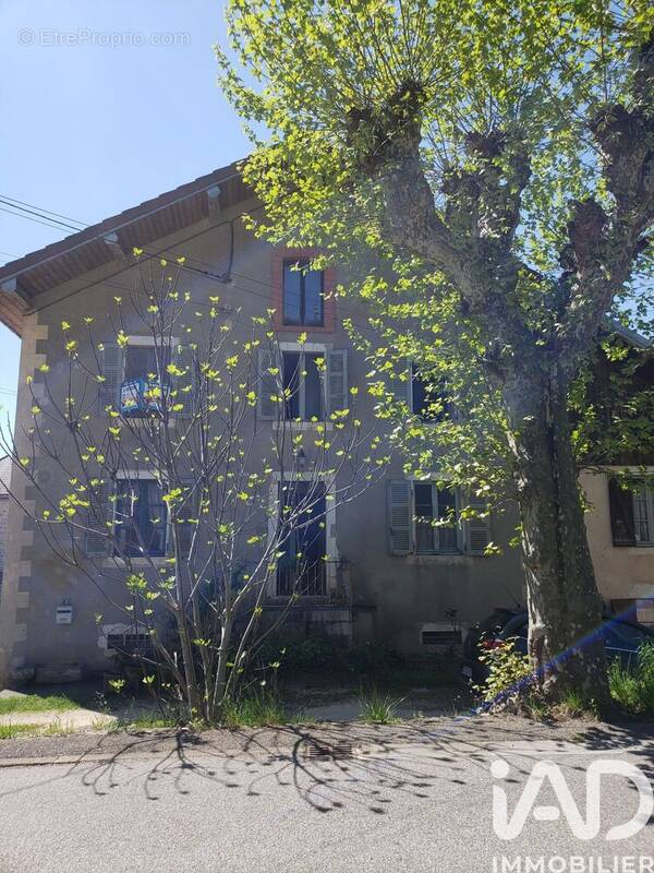 Photo 1 - Maison à VIRIEU-LE-PETIT