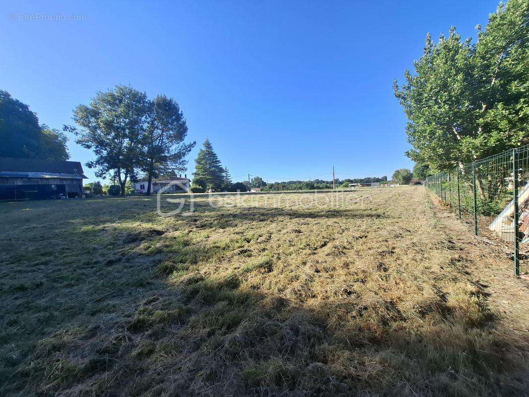 Terrain à bâtir de 1 137 m² au cœur de l'Entre-deux-Mers à Frontenac (33760) - photo 3