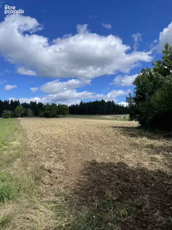 Terrain à LAPTE