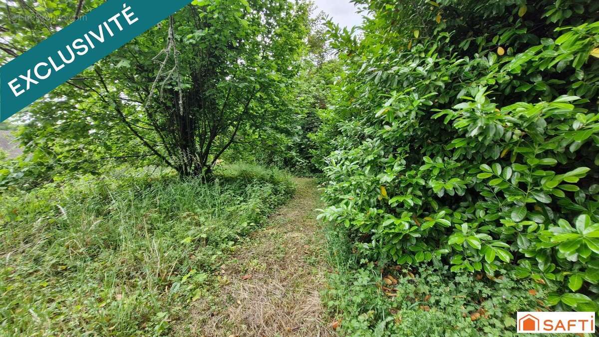 Photo 3 - Maison à COULOMMES-LA-MONTAGNE