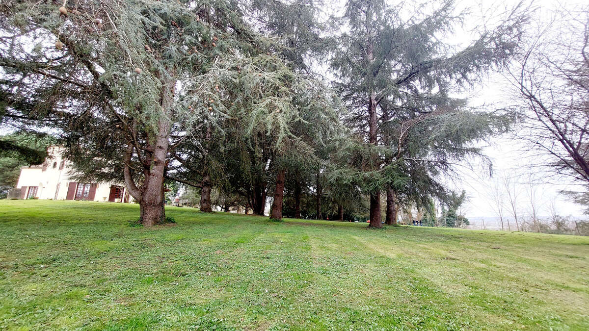 Maison à MEILHAN-SUR-GARONNE