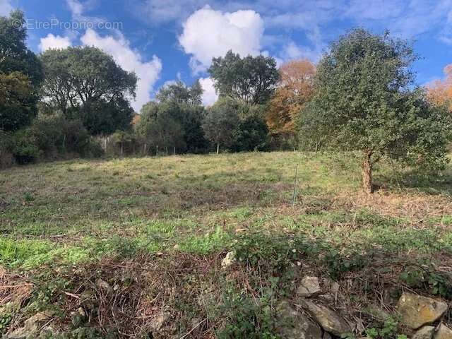 Terrain à TALASANI