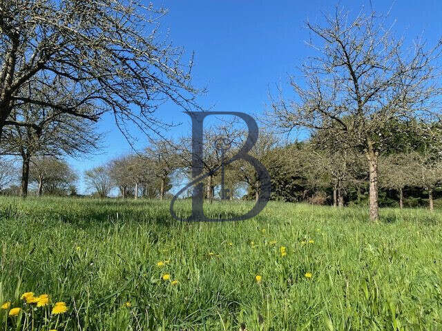 Maison à NOTRE-DAME-DE-CENILLY