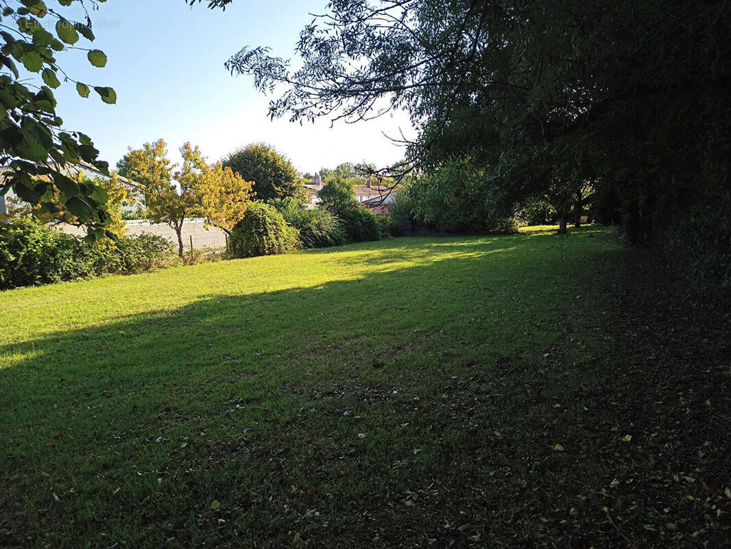 Terrain à PUYRAVAULT