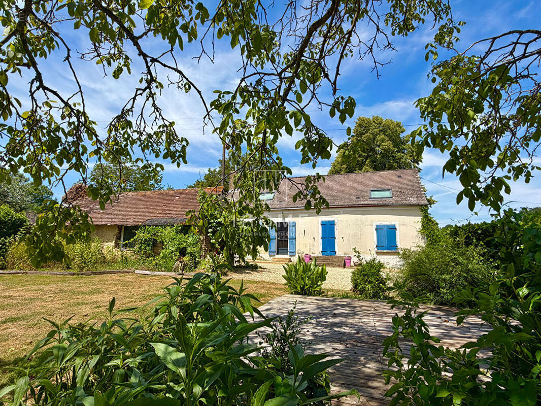 Pruille l'eguille - photo 16
