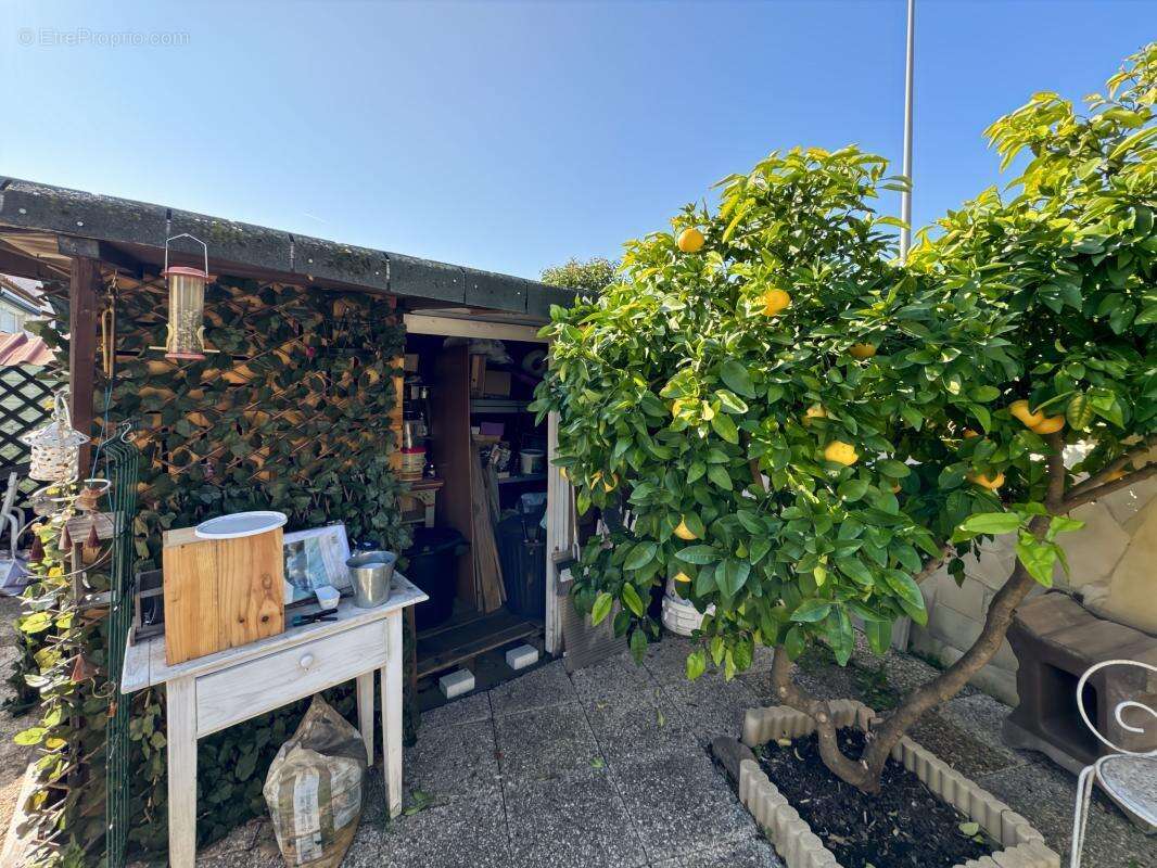 Maison à ROQUEBRUNE-SUR-ARGENS