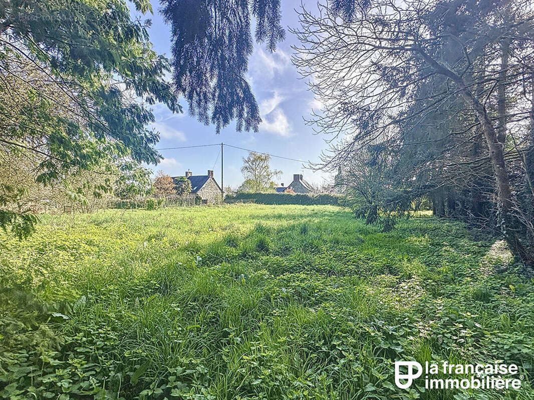 Terrain à LA COUYERE