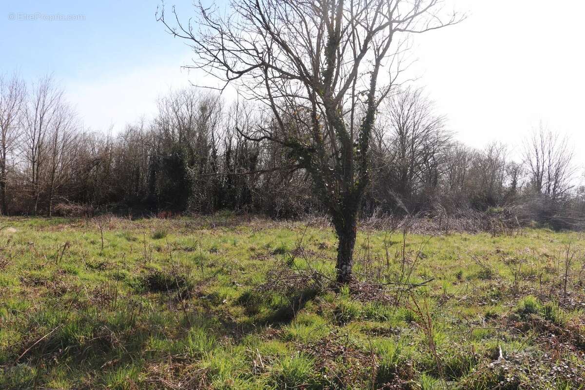 Terrain à LA FERTE-SOUS-JOUARRE