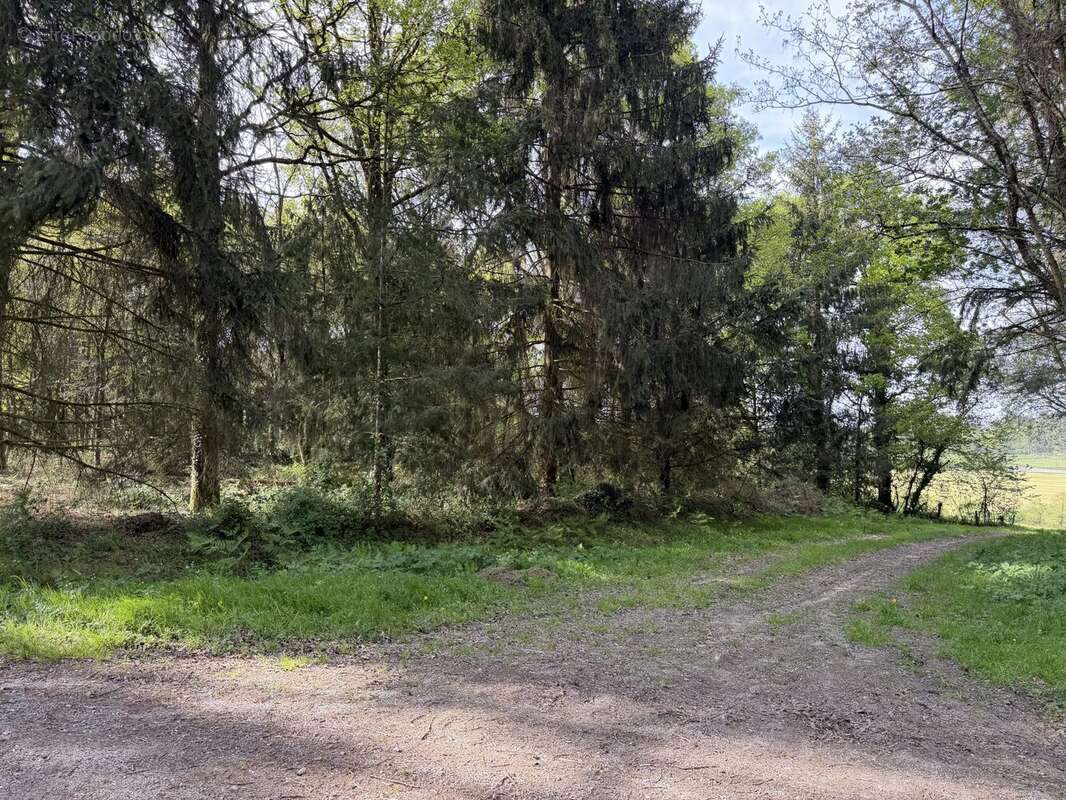 Terrain à PANCE