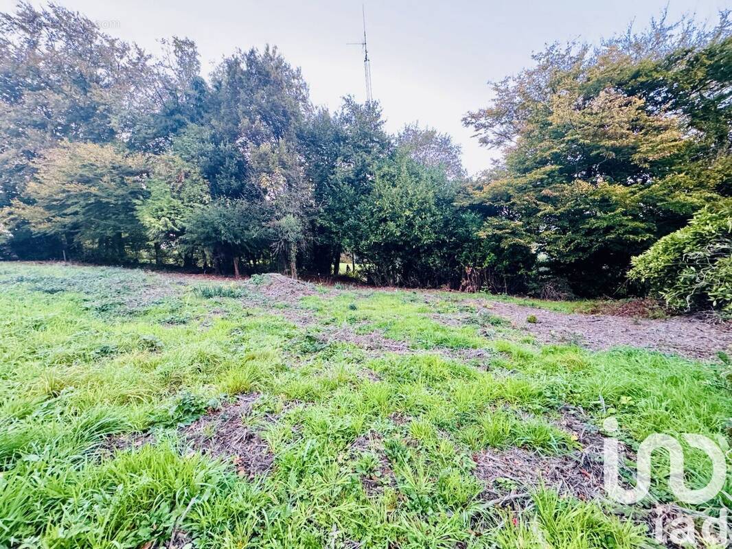 Photo 1 - Terrain à SAINT-MARTIN-DU-VIVIER