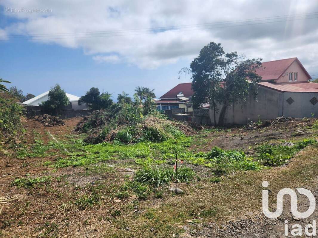 Photo 2 - Terrain à LE TAMPON