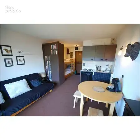 Appartement 1 pièce 21 m² à vendre à Manigod (74230) - photo 3