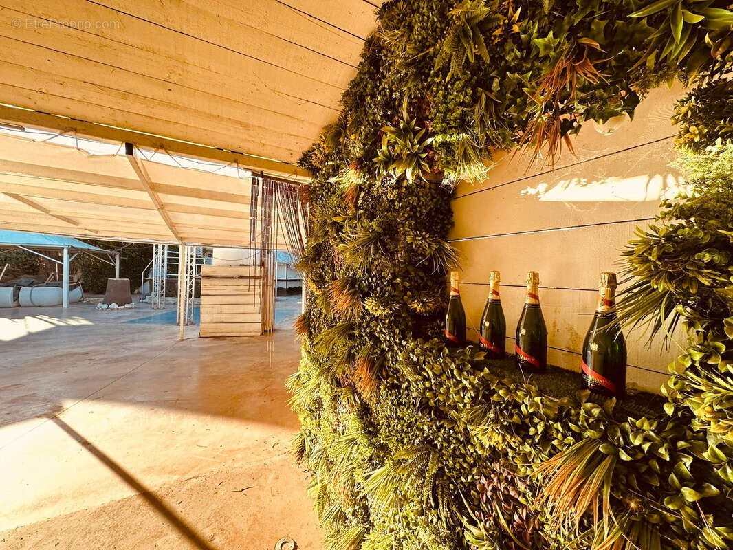 Commerce à TORREILLES