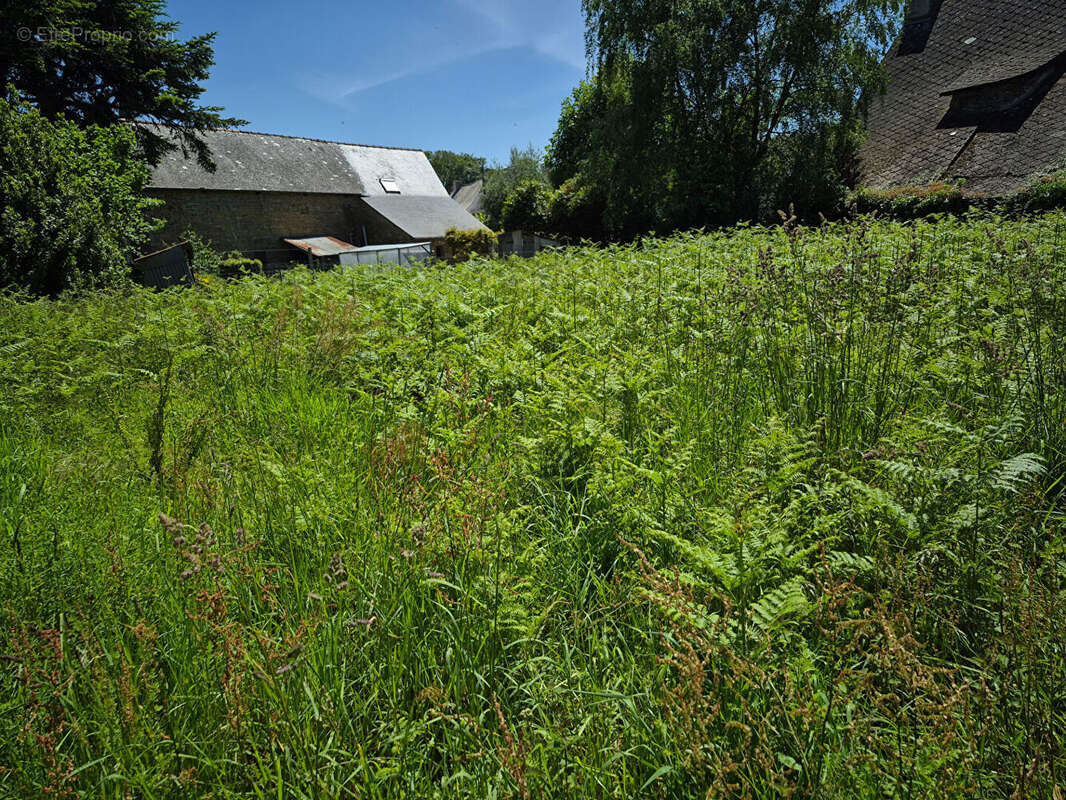 Maison Saint Servant 6 pièce(s) 190 m2 - photo 14