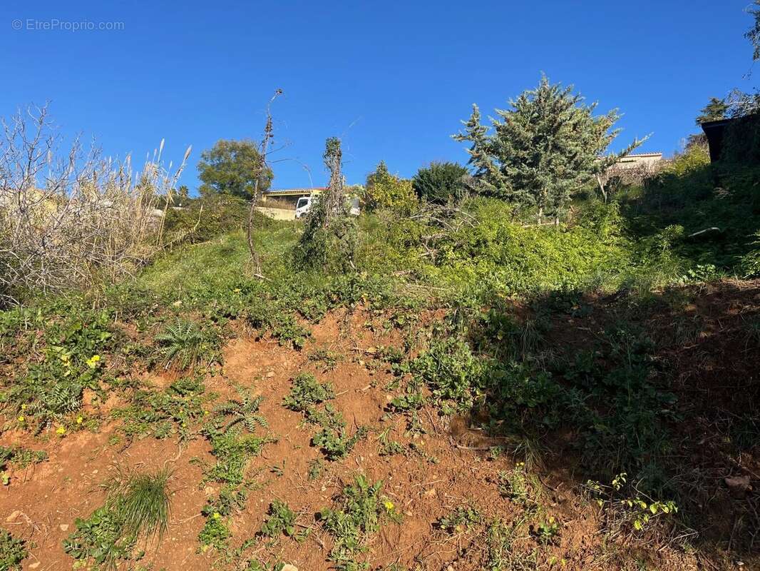 Terrain à NICE