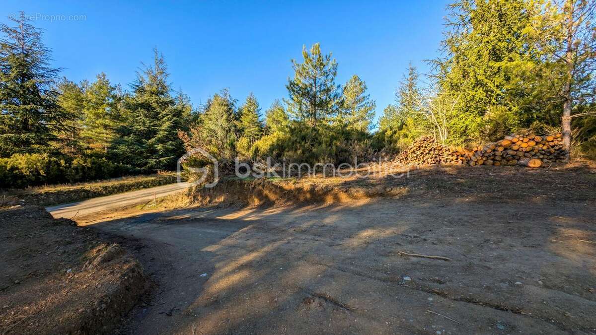 Terrain à VILLANIERE