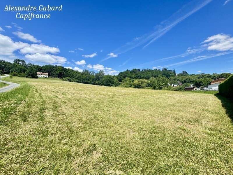 Terrain constructible 9 775 m² - Projet de 8 maisons individuelles - photo 3