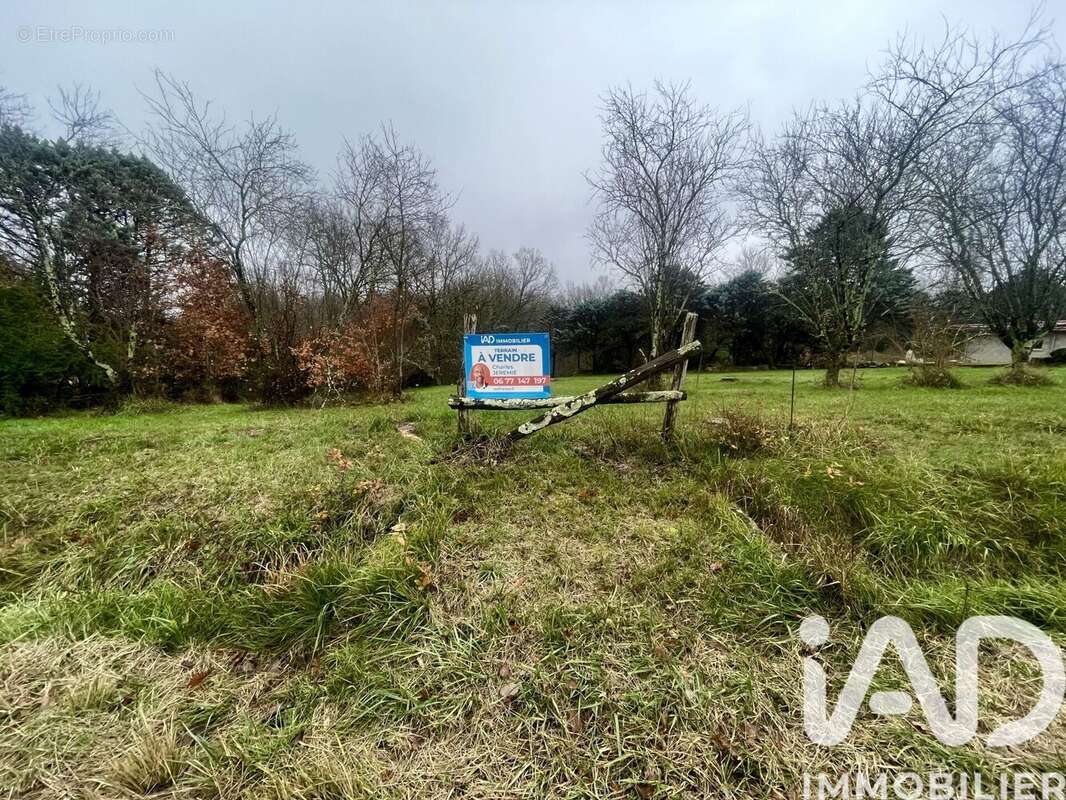 Photo 3 - Terrain à LE BORN