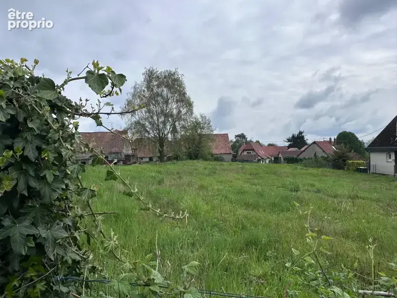 Eschentzwiller - photo 2