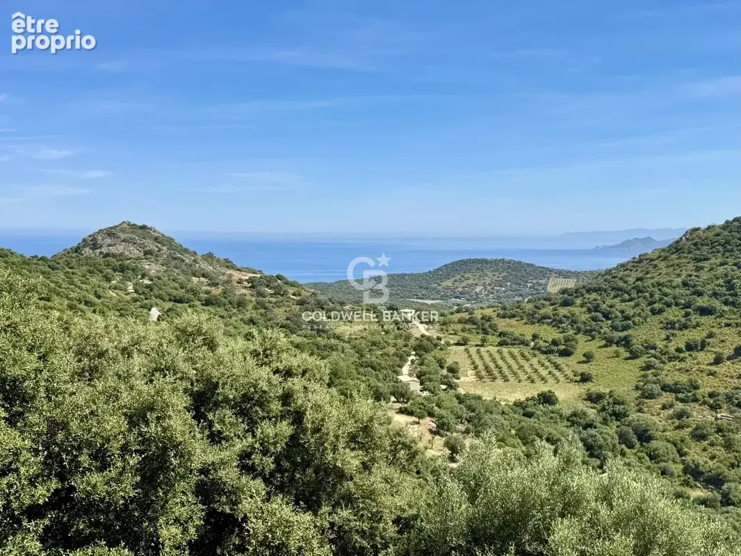 L'Ile-Rousse - Villa d’Architecte entre mer et maquis - vue panoramique - photo 27