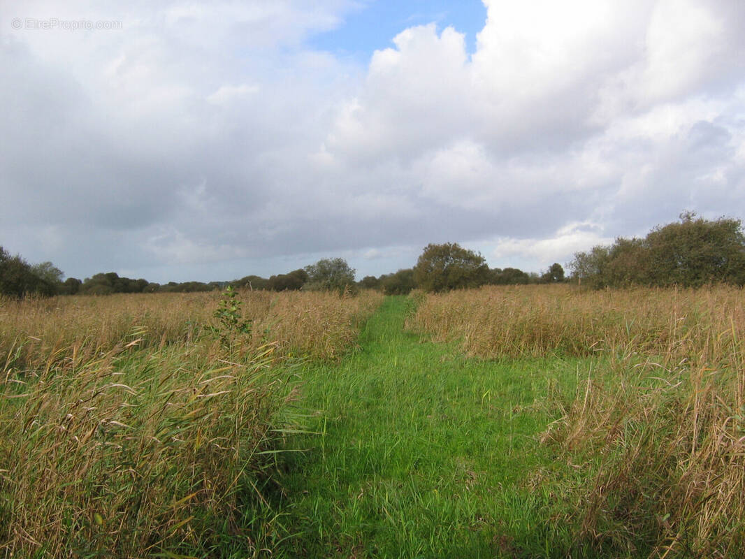 Terrain à SAINT-OMER