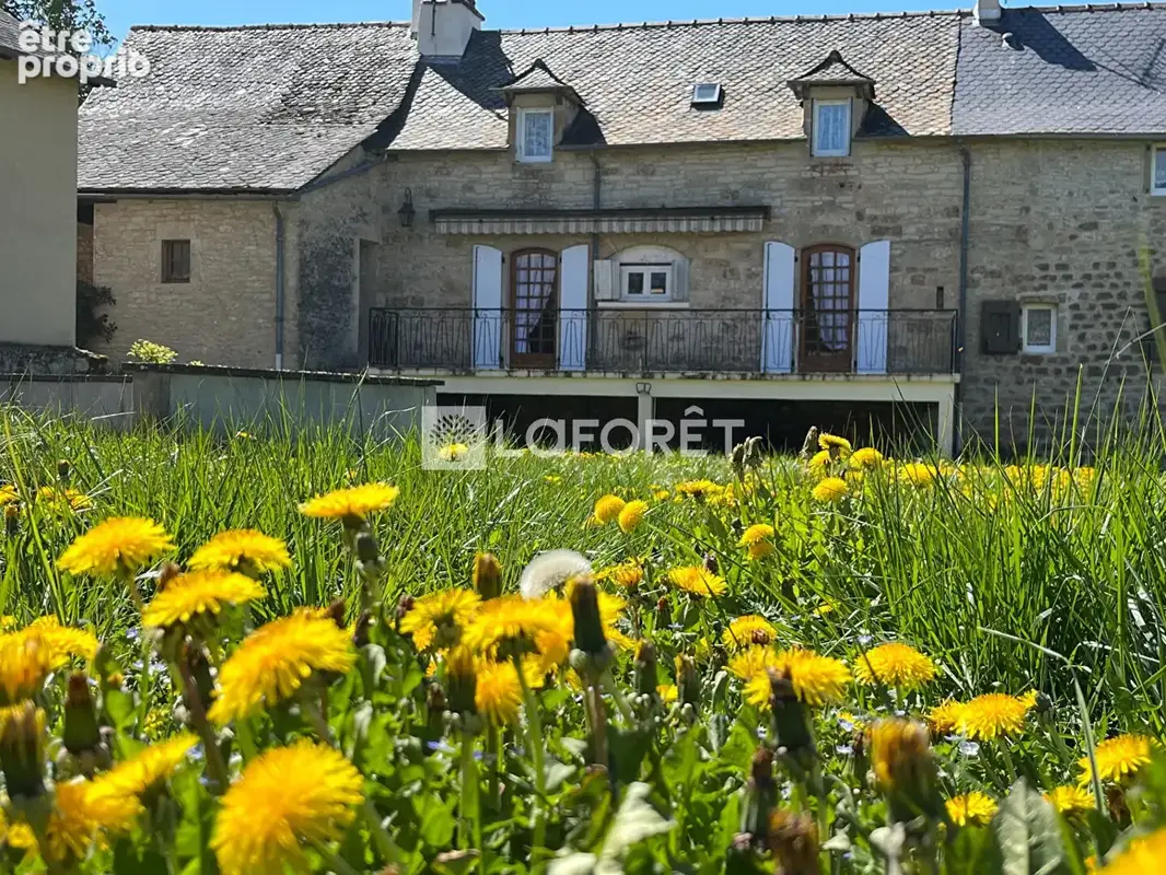 Salles-la-source - hameau paisible et bucolique- superbe maison en pierre - photo 15
