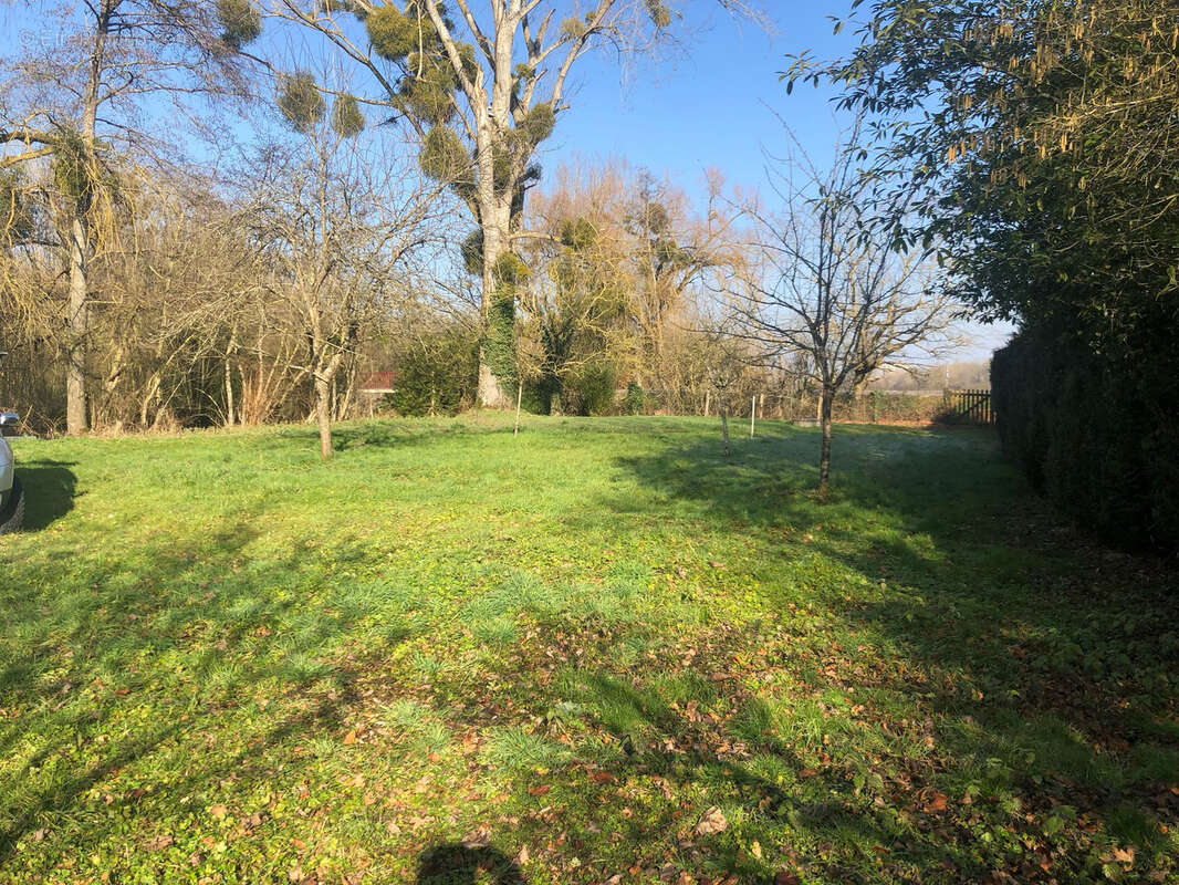 Terrain à RUVIGNY