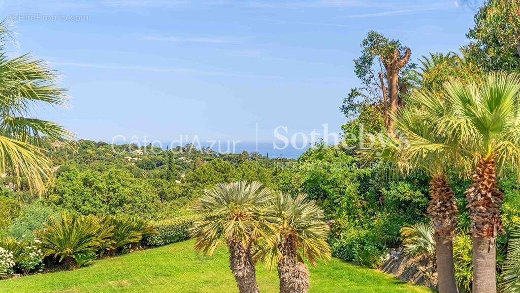 Grimaud villa provençale de charme avec piscine, jardin paysager et cinq suites - photo 3