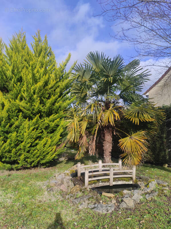 Maison à LISSAC-SUR-COUZE