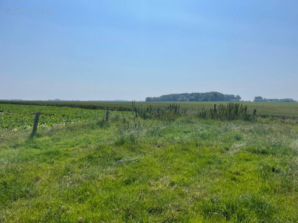Terrain à FECAMP