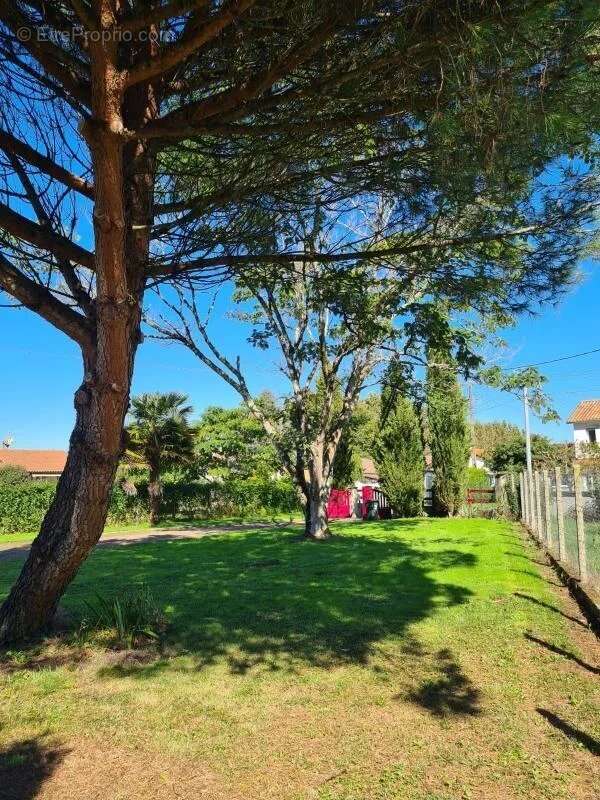 Maison à RAZAC-SUR-L&#039;ISLE