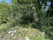 Terrain à BRIVE-LA-GAILLARDE