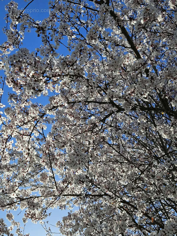 Terrain à SEBAZAC-CONCOURES