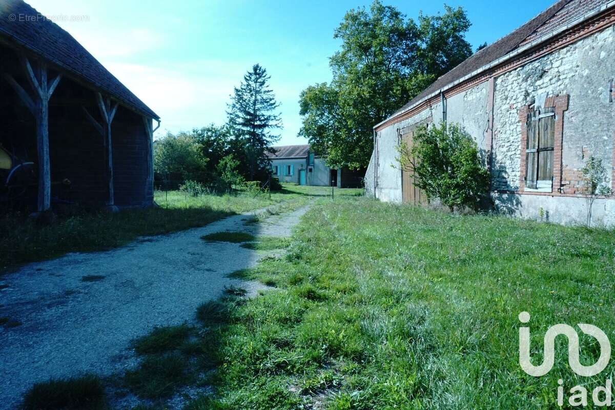 Photo 5 - Maison à MEZIERES-EN-GATINAIS