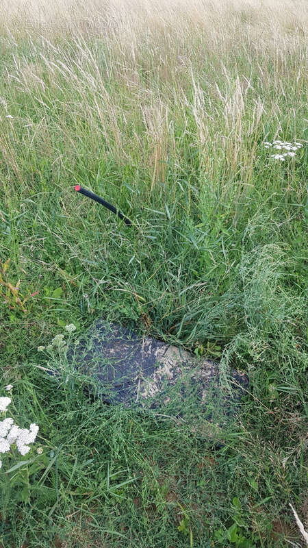 Terrain à L&#039;ABERGEMENT-SAINTE-COLOMBE