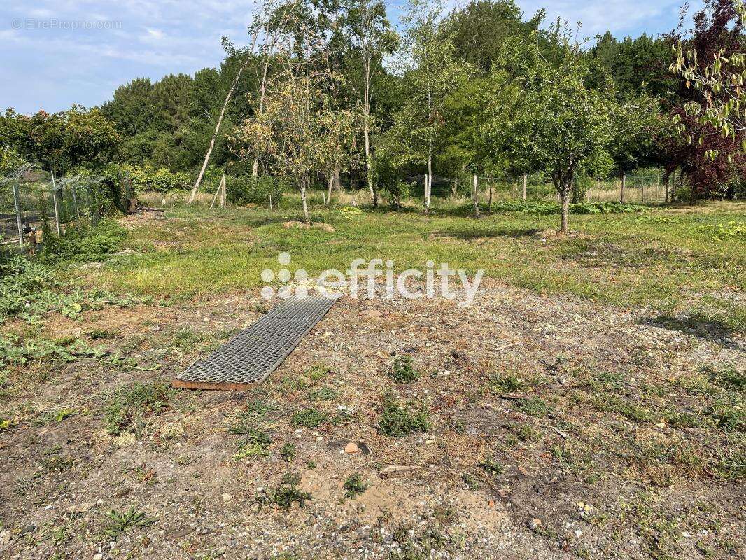 Terrain 800 m² à Aureilhan  - photo 2