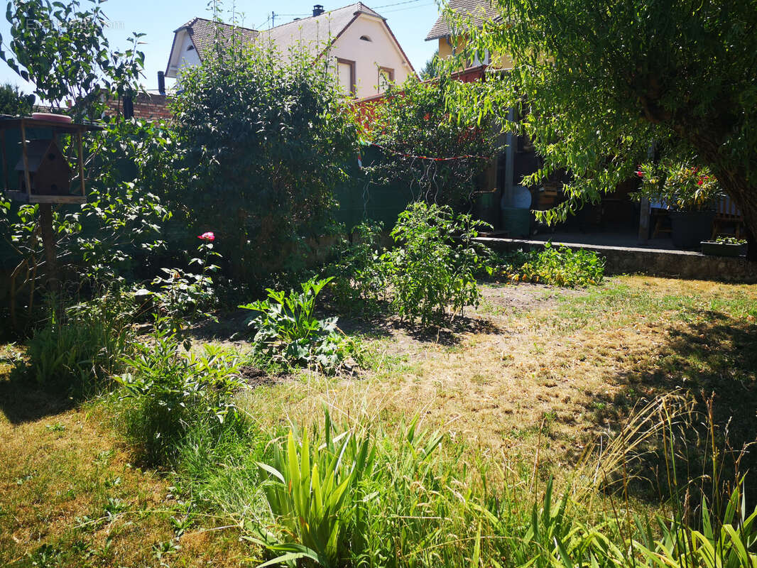 Maison à HAGUENAU