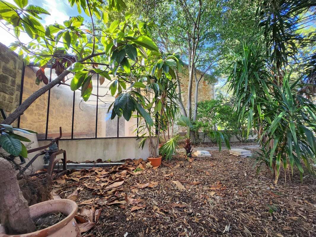 Maison à MONTPELLIER