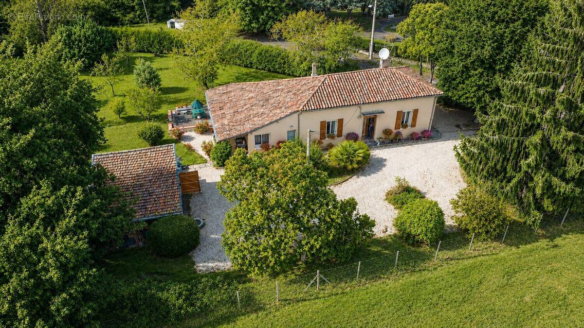 Single-storey villa in L'Isle-en-Dodon set within mature gardens and peaceful surroundings. - Maison à L'ISLE-EN-DODON