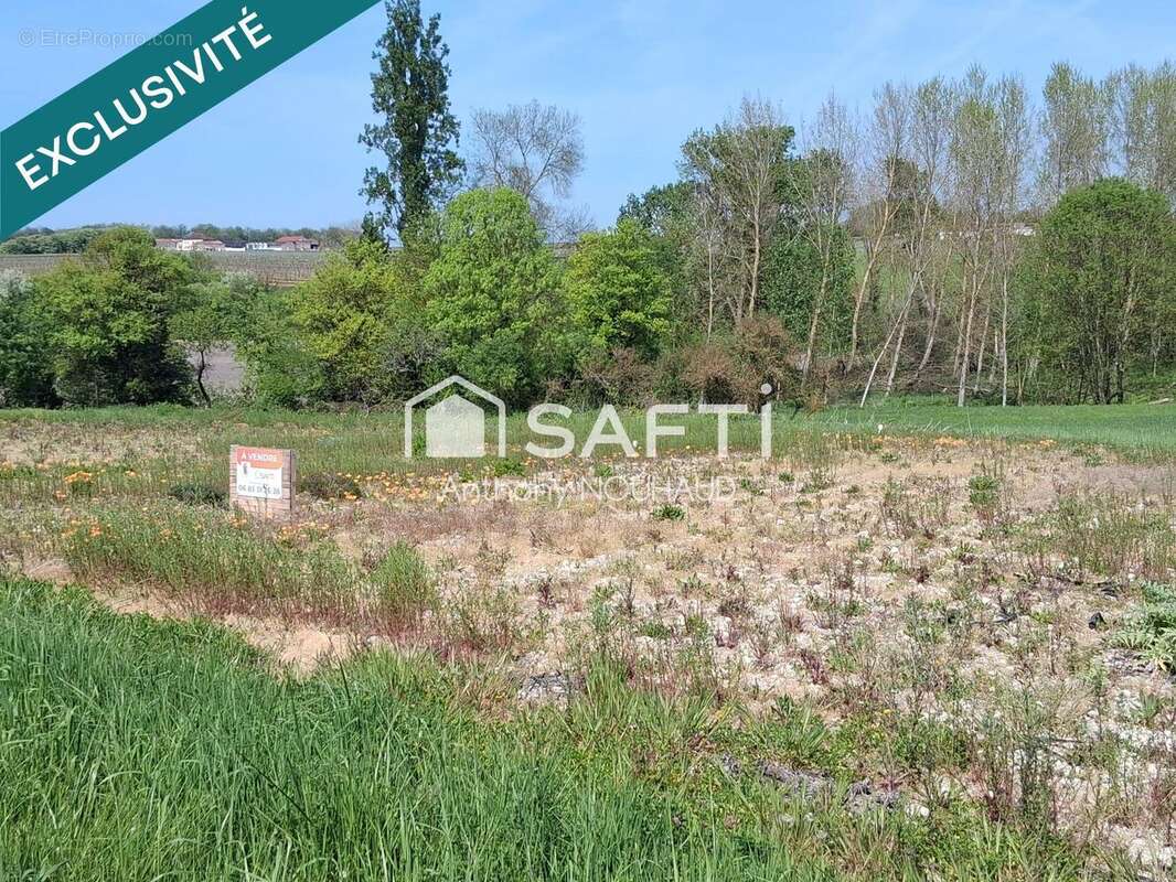 Photo 4 - Terrain à VERRIERES