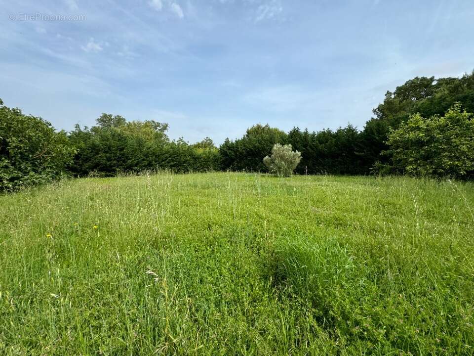 Terrain à SAINT-PAPOUL