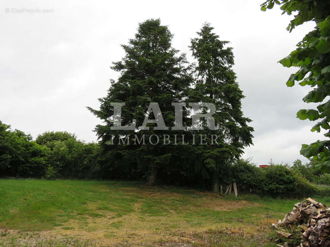 Maison à SAINT-CALAIS-DU-DESERT