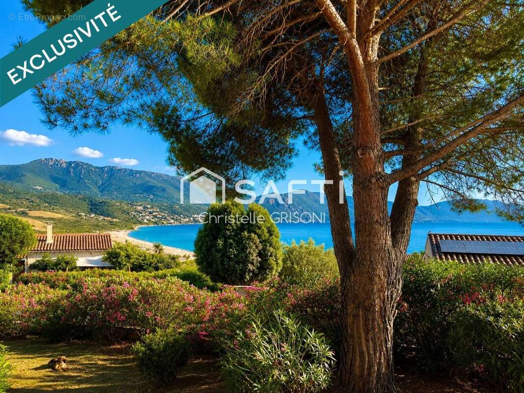 Photo 2 - Maison à APPIETTO