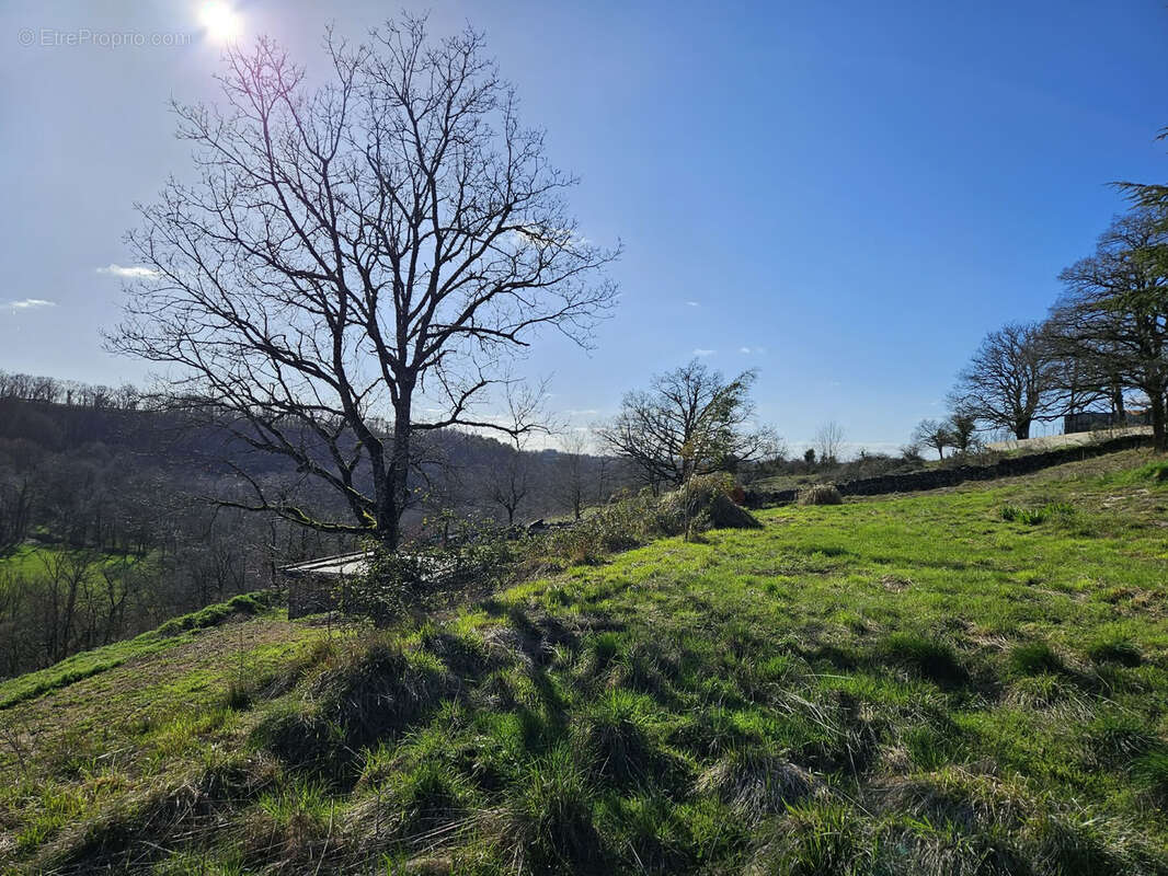 Terrain constructible de 3000 m2 avec très belle vue dégagée plein SUD secteur prisé d'Onet l'Eglise - photo 11