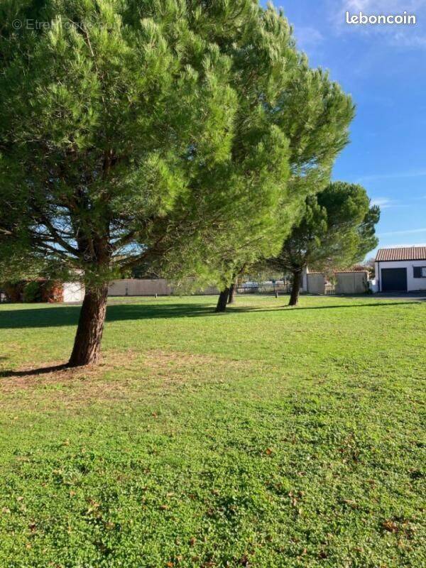 Terrain à SALLES-SUR-MER