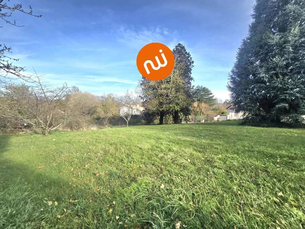 Terrain à TASSIN-LA-DEMI-LUNE