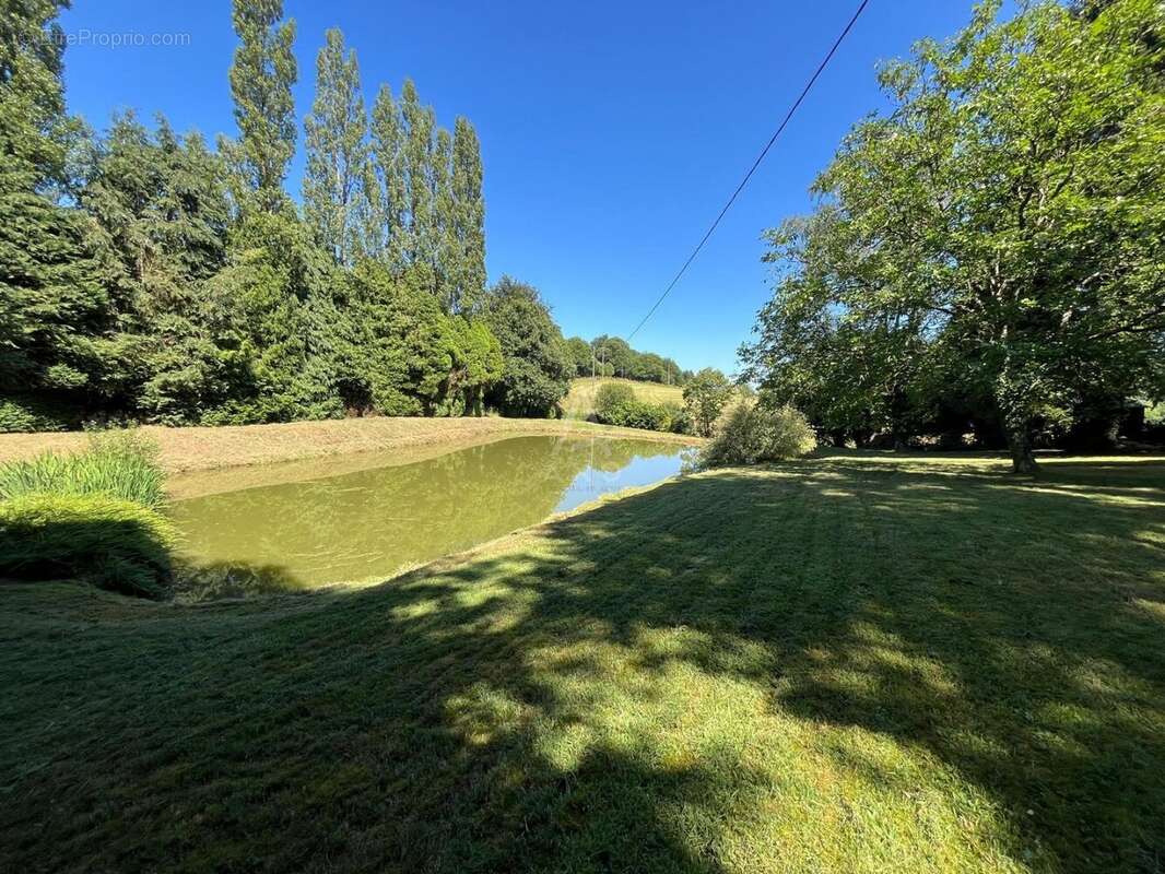 Terrain 2913 m² à Le Loroux  - photo 6